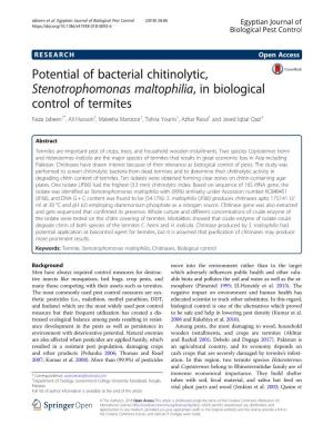 Potential of Bacterial Chitinolytic, Stenotrophomonas Maltophilia, In
