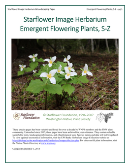 Emergent Flowering Plants, S-Z – Pg.1