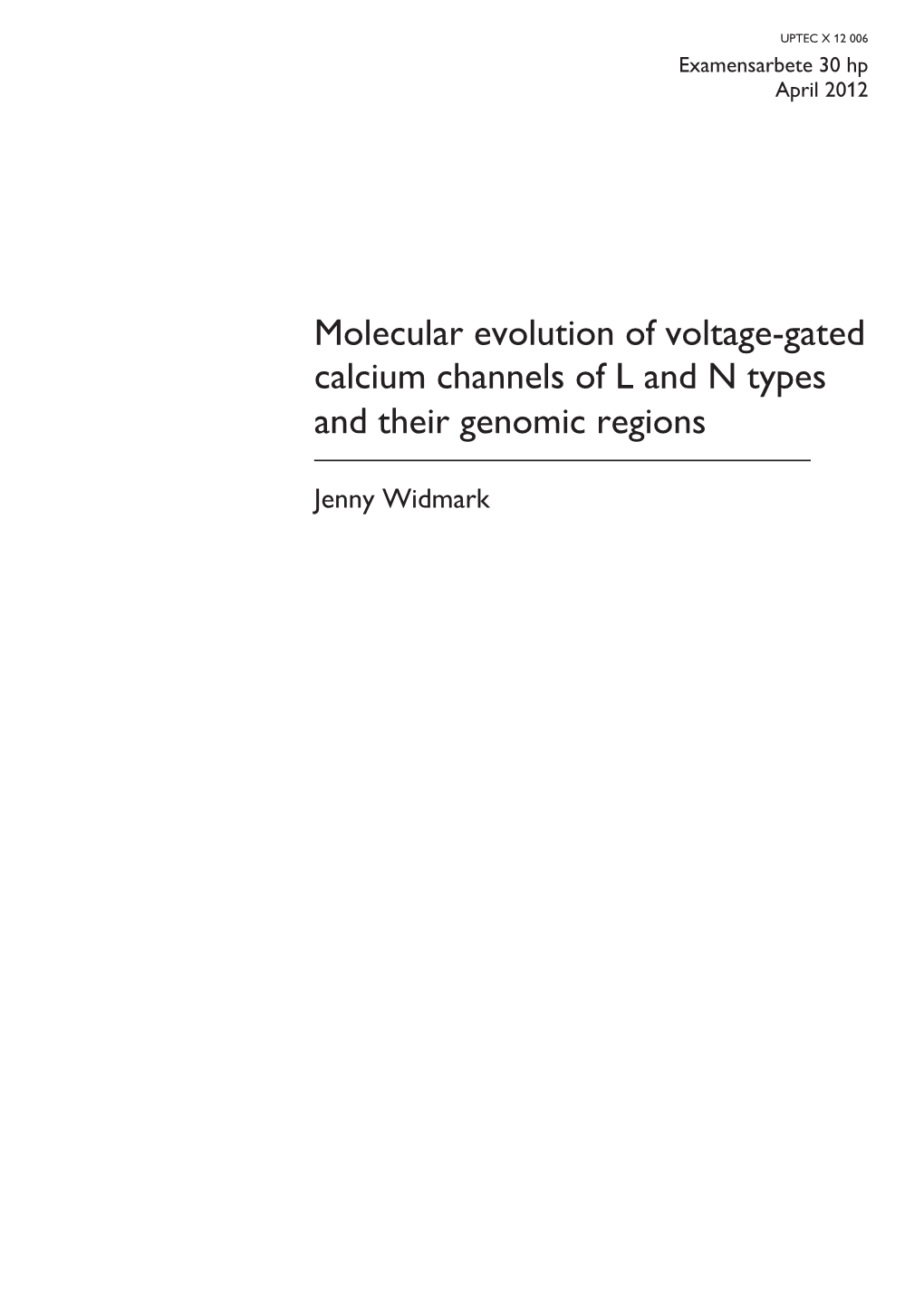 Molecular Evolution of Voltage-Gated Calcium Channels of L and N Types and Their Genomic Regions