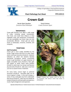 Crown Gall Nicole Ward Gauthier David Embrey Extension Plant Pathologist County Extension Agent