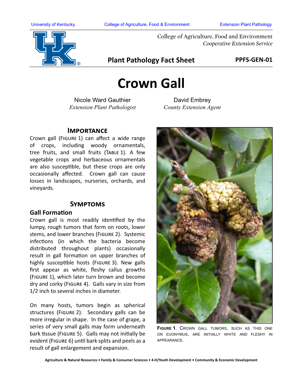 Crown Gall Nicole Ward Gauthier David Embrey Extension Plant Pathologist County Extension Agent