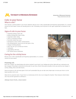 Colic in Your Horse | UMN Extension