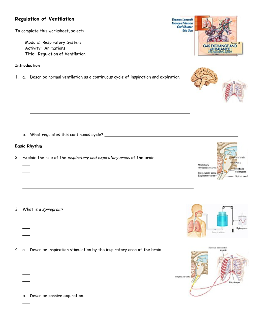 Endocrine System: Overview s3