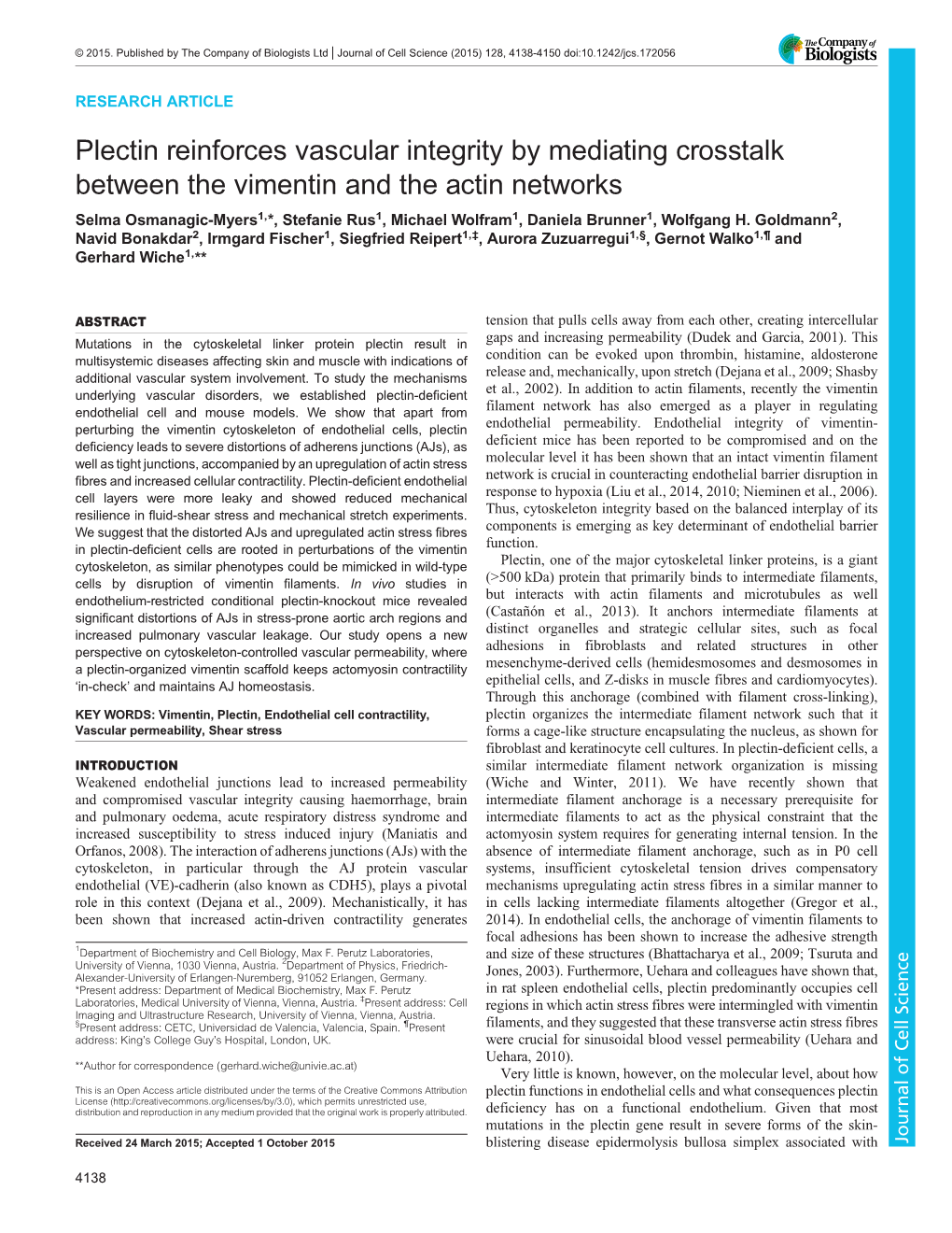 Plectin Reinforces Vascular Integrity by Mediating Crosstalk Between the Vimentin and the Actin Networks