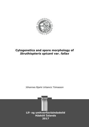 Cytogenetics and Spore Morphology of Struthiopteris Spicant Var. Fallax