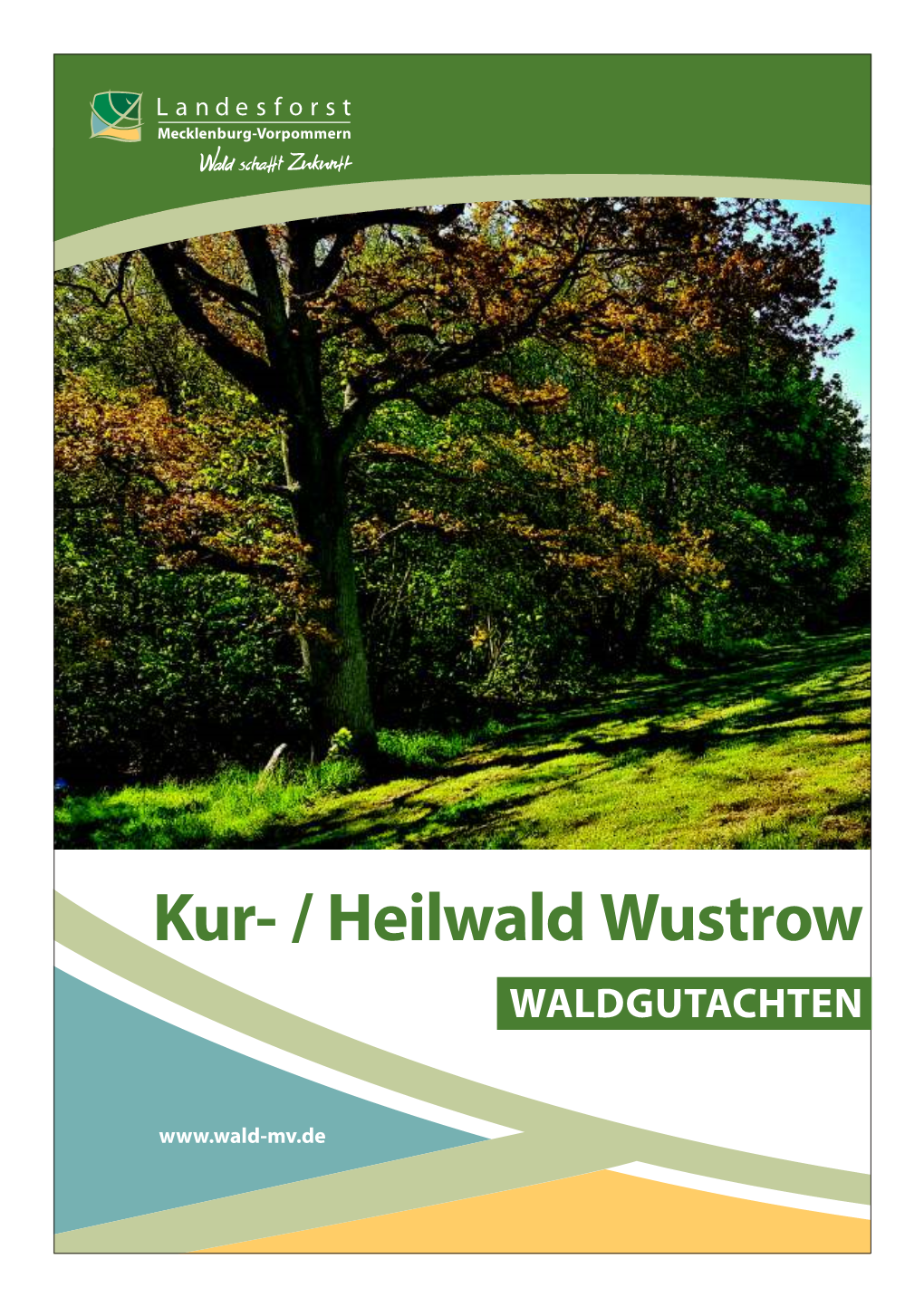 Kur- / Heilwald Wustrow WALDGUTACHTEN