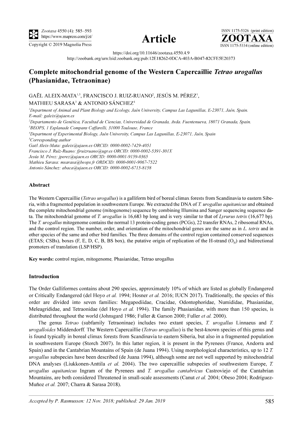 Complete Mitochondrial Genome of the Western Capercaillie Tetrao Urogallus (Phasianidae, Tetraoninae)