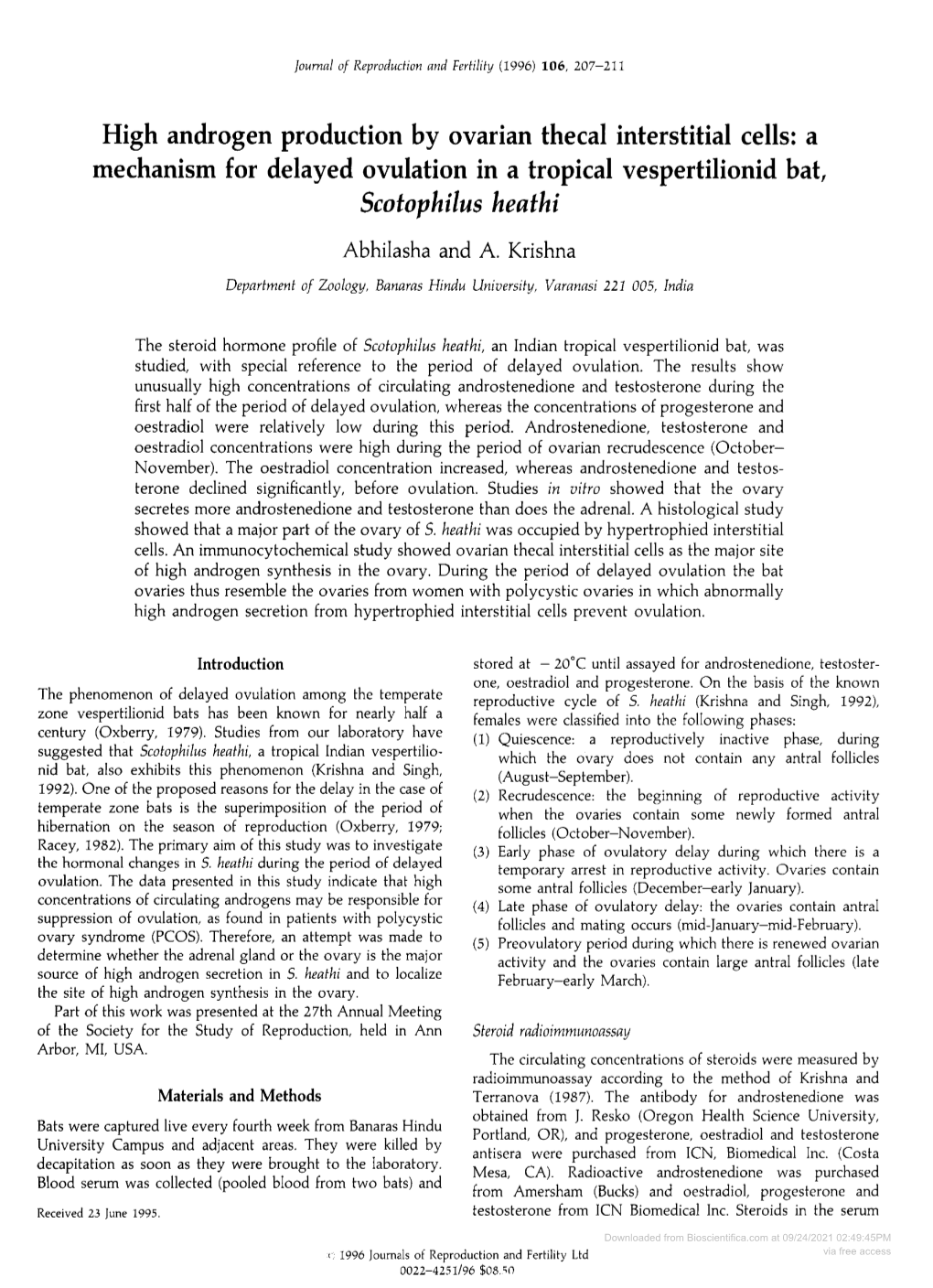 Scotophilus Heathi Abhilasha and A