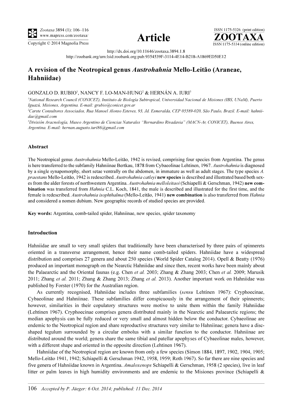 A Revision of the Neotropical Genus Austrohahnia Mello-Leitão (Araneae, Hahniidae)