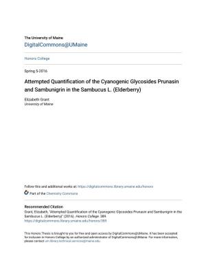 Attempted Quantification of the Cyanogenic Glycosides Prunasin and Sambunigrin in the Sambucus L