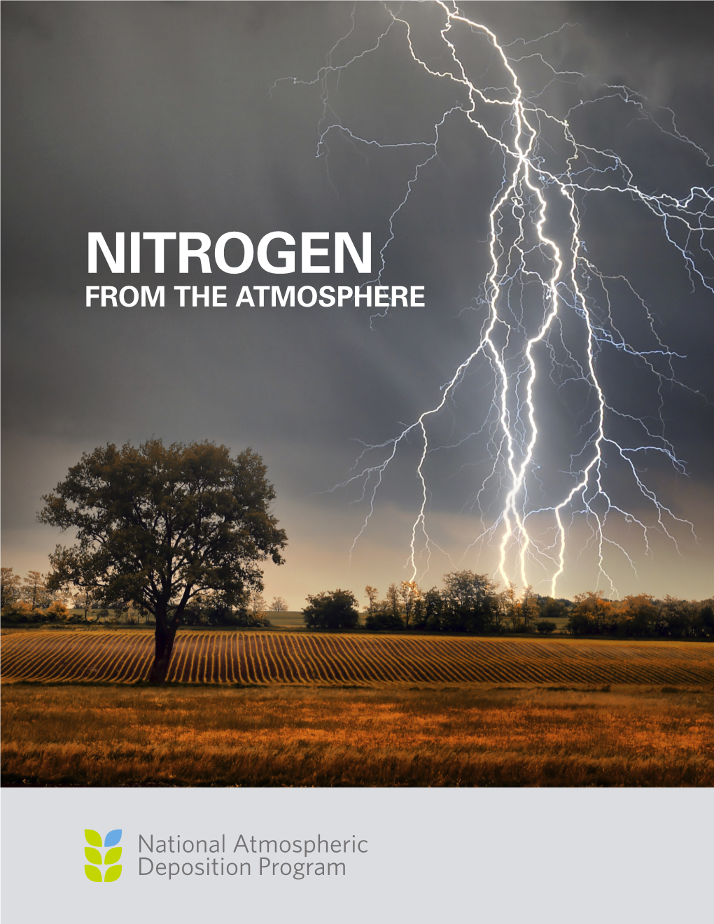 Nitrogen from the Atmosphere