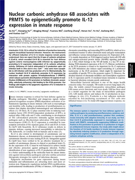 Nuclear Carbonic Anhydrase 6B Associates with PRMT5 to Epigenetically Promote IL-12 Expression in Innate Response