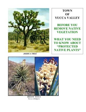 Native Plant Information