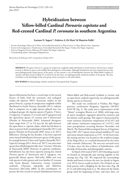 Hybridization Between Yellow-Billed Cardinal Paroaria Capitata and Red-Crested Cardinal P