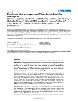 The Ribosomal Protein Genes and Minute Loci of Drosophila