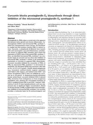 Curcumin Blocks Prostaglandin E2 Biosynthesis Through Direct Inhibition of the Microsomal Prostaglandin E2 Synthase-1