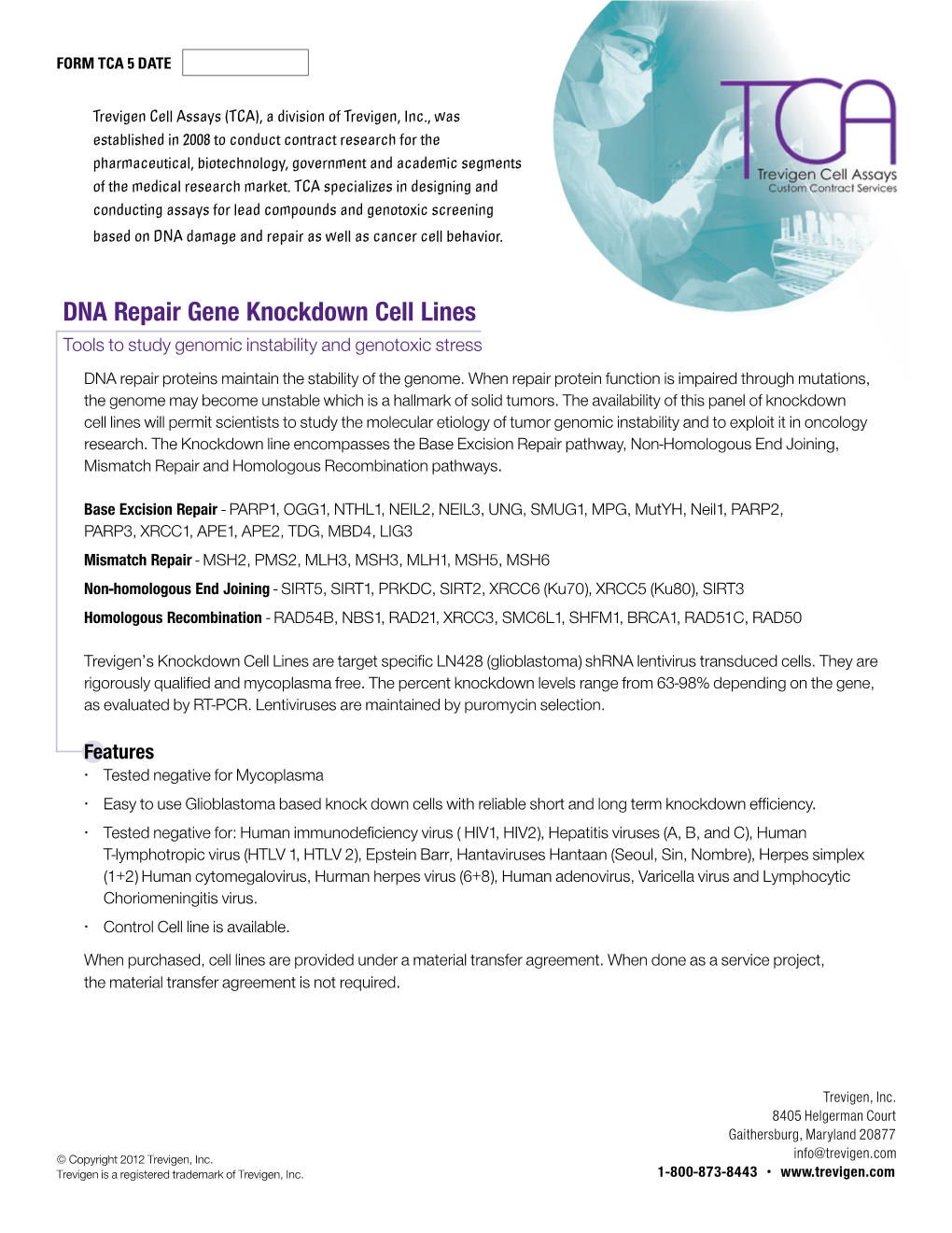 DNA Repair Gene Knockdown Cell Lines Tools to Study Genomic Instability and Genotoxic Stress DNA Repair Proteins Maintain the Stability of the Genome