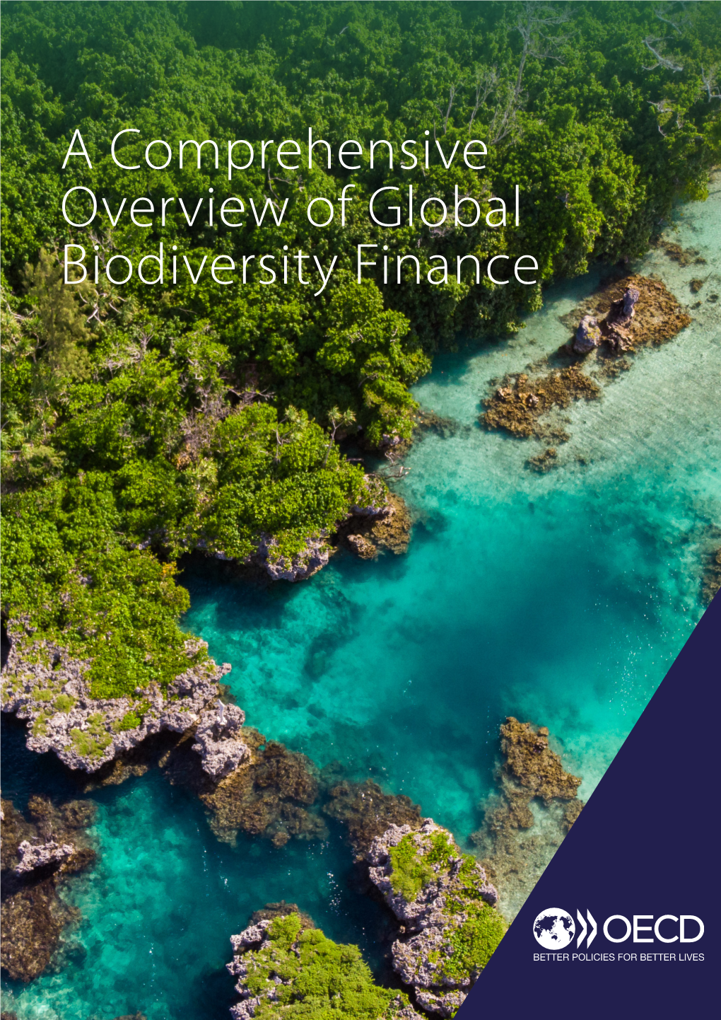 A Comprehensive Overview of Global Biodiversity Finance