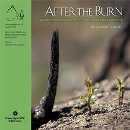 After the Burn Assessing and Managing Your Forestland After a Wildﬁ Re Station Bulletin No