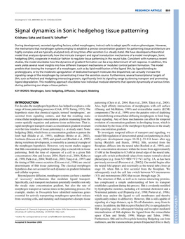 Signal Dynamics in Sonic Hedgehog Tissue Patterning