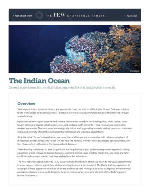 The Indian Ocean Diverse Ecosystems Harbor Distinctive Deep-Sea Life and Sought-After Minerals