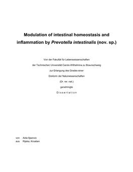 Modulation of Intestinal Homeostasis and Inflammation by Prevotella Intestinalis (Nov