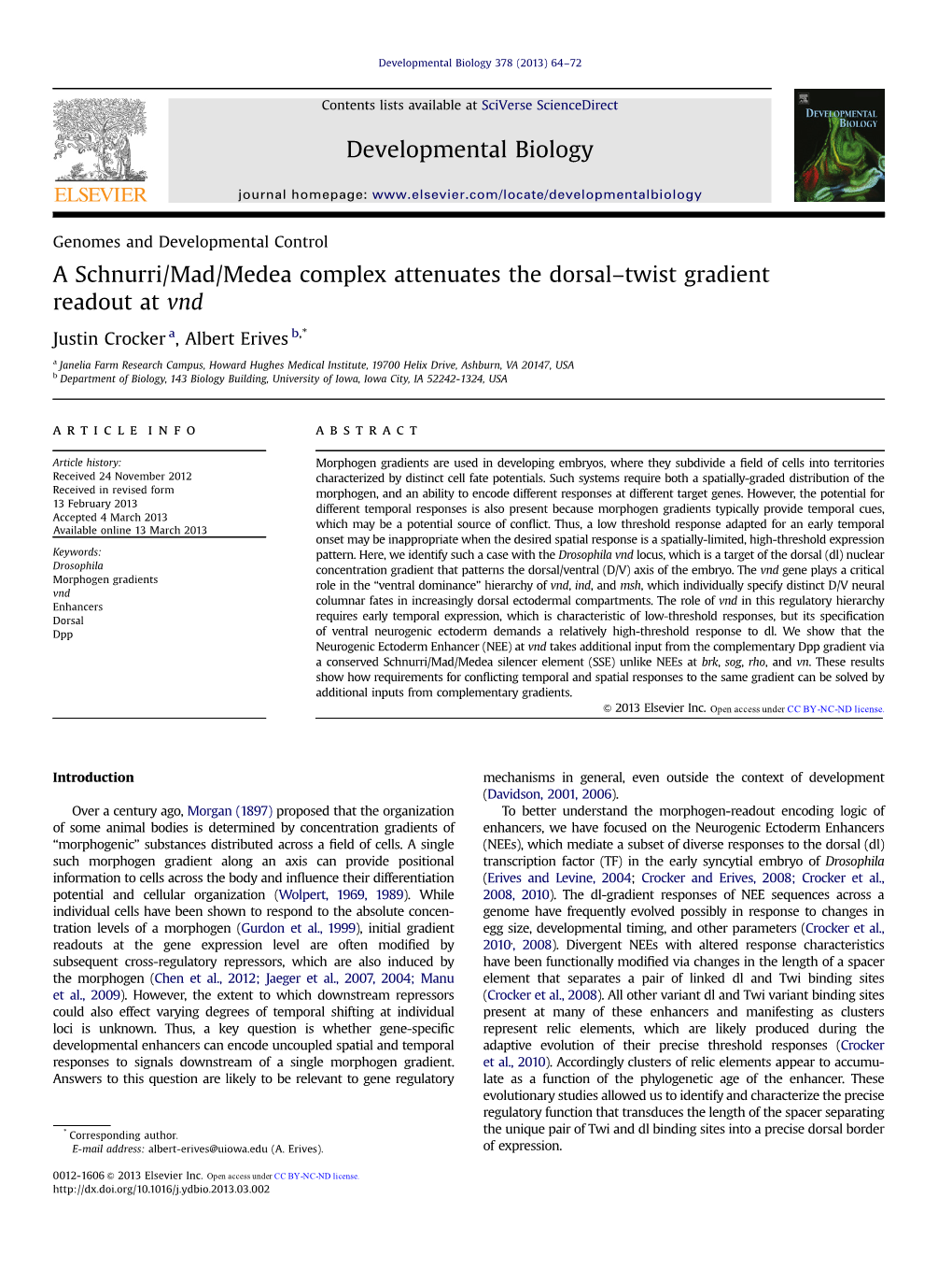 A Schnurri/Mad/Medea Complex Attenuates the Dorsalamp