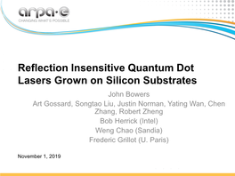 Reflection Insensitive Quantum Dot Lasers Grown on Silicon Substrates