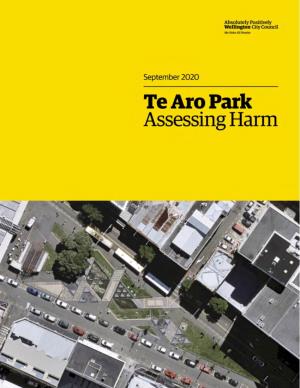 Te Aro Park, Actions Taken to Date and Potential Solutions