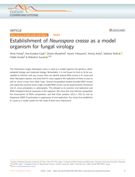 Establishment of Neurospora Crassa As a Model Organism for Fungal Virology