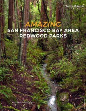 San Francisco Bay Area Redwood Parks