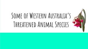 Some of Western Australia's Threatened Animal Species