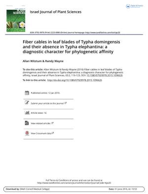 Fiber Cables in Leaf Blades of Typha Domingensis and Their Absence in Typha Elephantina: a Diagnostic Character for Phylogenetic Affinity