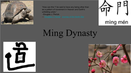 Ming Dynasty What Proof Is There That the Ideas Practiced by the Dynasty Affected the Economic System?