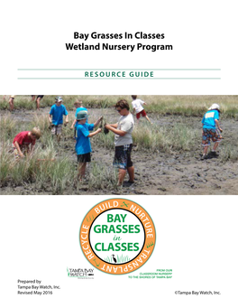 Bay Grasses in Classes Wetland Nursery Program