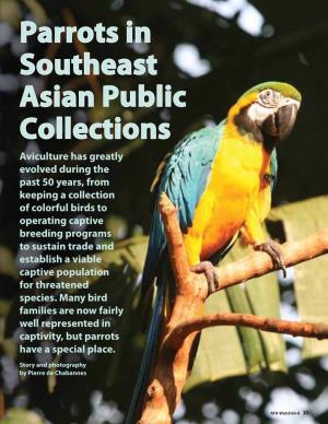 Chbird 21 Previous Page, a Blue and Yellow Macaw (Ara Ararauna)
