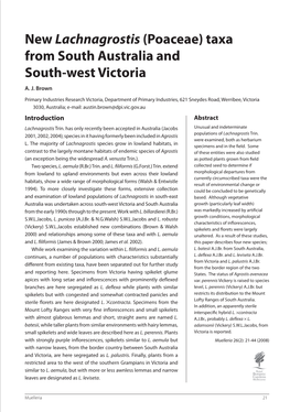 New Lachnagrostis (Poaceae) Taxa from South Australia and South-West Victoria A