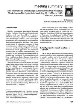 Meeting Summary First International Short-Range Numerical Weather Prediction Workshop on Nonhydrostatic Modeling, 11-13 March 1996, Offenbach, Germany