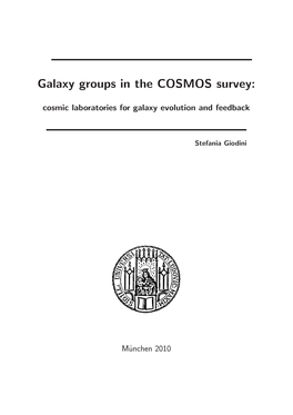 Galaxy Groups in the COSMOS Survey