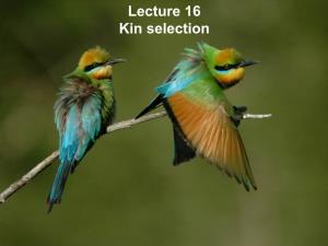 Lecture 16 Kin Selection Challenges to Natural Selection