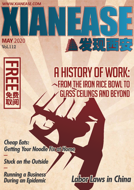 A History of Work: from the Iron Rice Bowl to Glass Ceilings and Beyond 免费 取阅