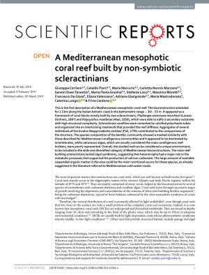 A Mediterranean Mesophotic Coral Reef Built by Non-Symbiotic