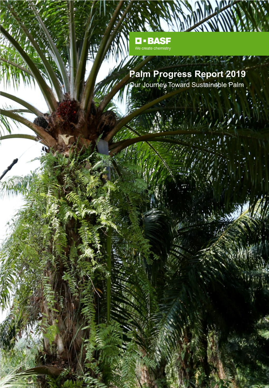 Palm Progress Report 2019 Our Journey Toward Sustainable Palm Letter to Our Stakeholders