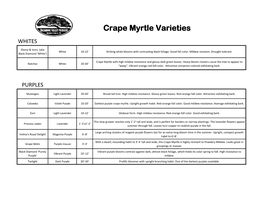 Crape Myrtle Varieties