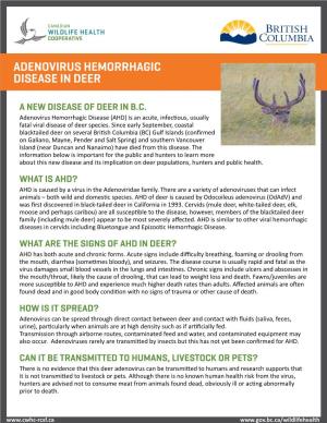 Adenovirus Hemorrhagic Disease in Deer