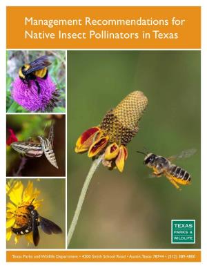 Management Recommendations for Native Insect Pollinators in Texas