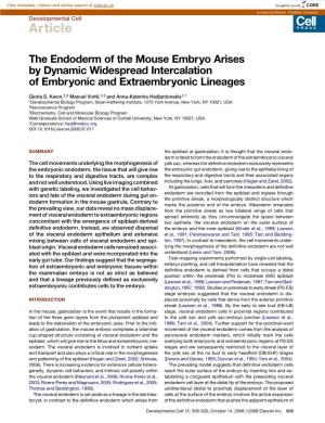 The Endoderm of the Mouse Embryo Arises by Dynamic Widespread Intercalation of Embryonic and Extraembryonic Lineages