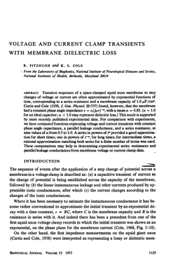 Voltage and Current Clamp Transients with Membrane Dielectric Loss