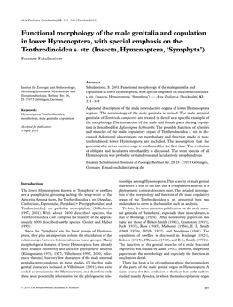 Functional Morphology of the Male Genitalia and Copulation in Lower