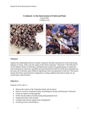 Cochineal: at the Intersection of Cloth and Paint Lesson Plan College Level